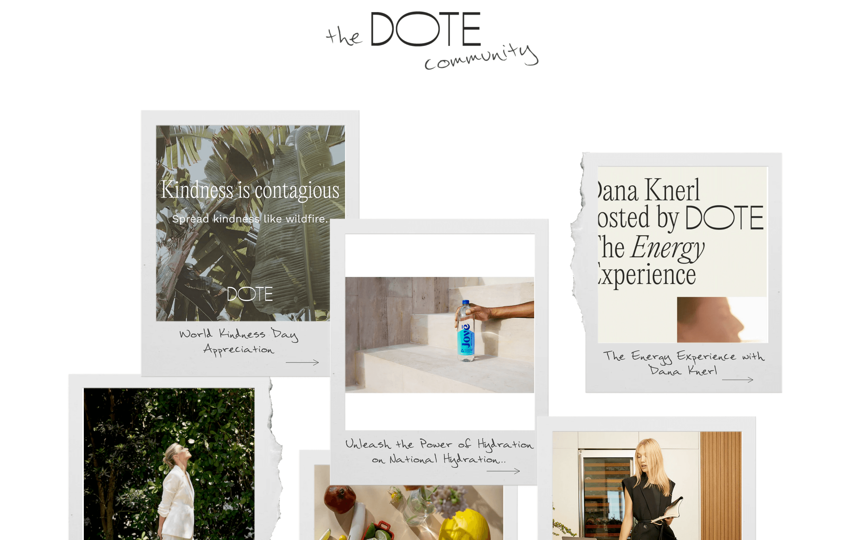 DOTE Wellness storefront — product and content pages